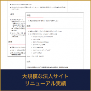 大規模な法人サイトリニューアル実績